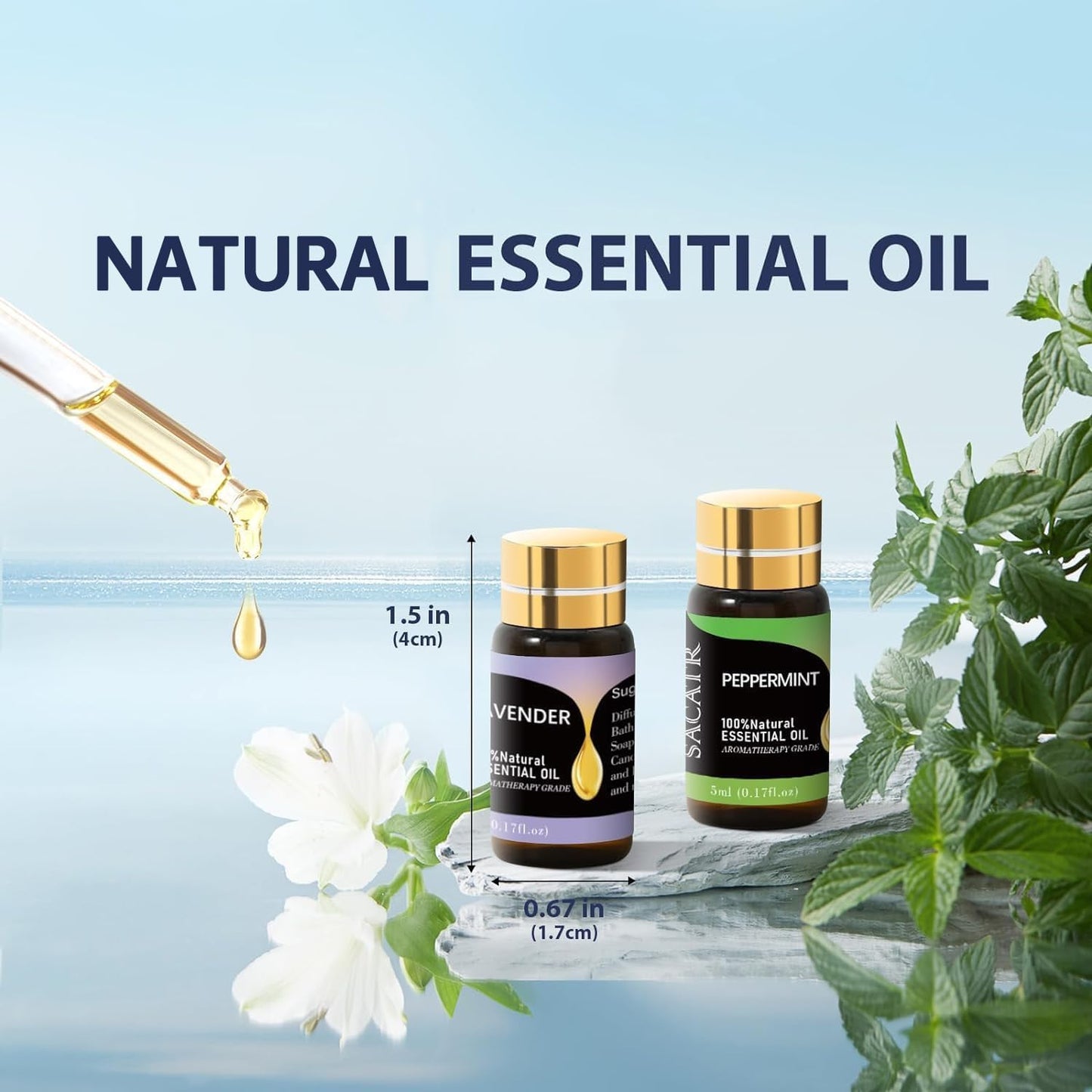 Essential Oils by Natural Essential Oil Set -12 Essential Oils Gift Set for Diffuser, Massage, Fragrance Oil Scent for DIY Candle and Soap Making (12 * 5ML)